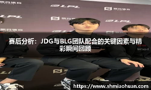 赛后分析：JDG与BLG团队配合的关键因素与精彩瞬间回顾