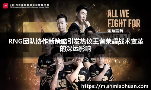 RNG团队协作新策略引发热议王者荣耀战术变革的深远影响